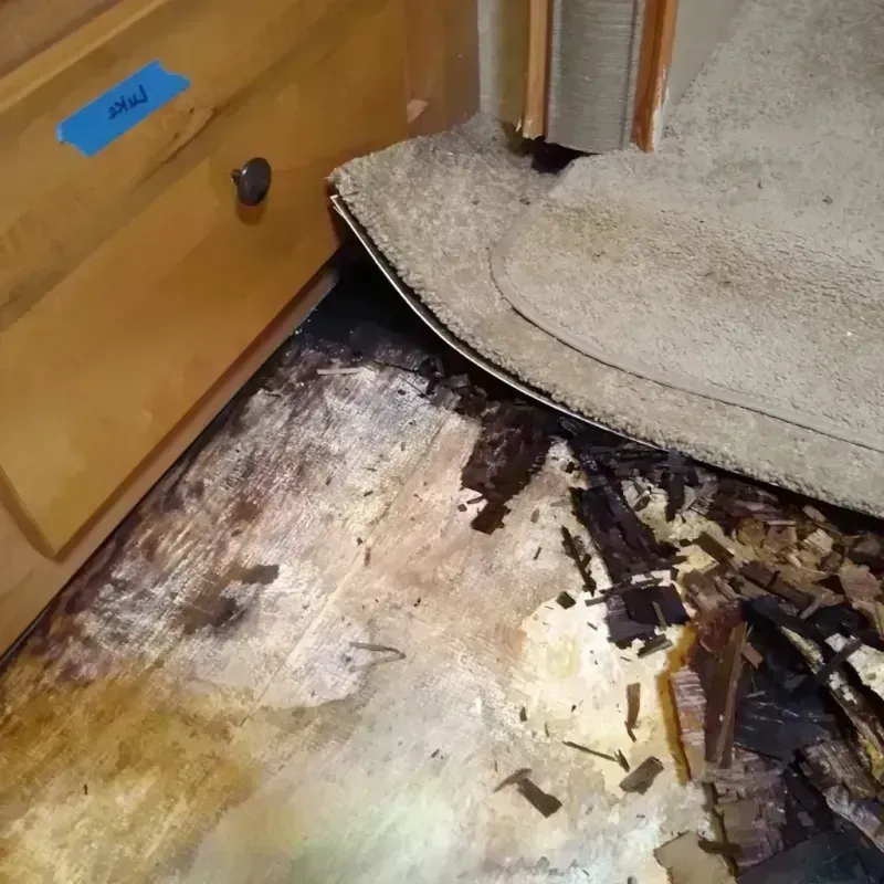 Best Wood Floor Water Damage Service in Angier, NC